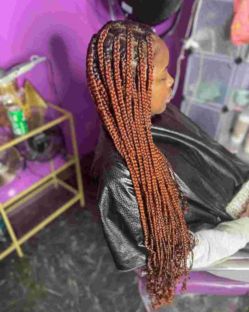 African Hair Braiding Styles Pictures